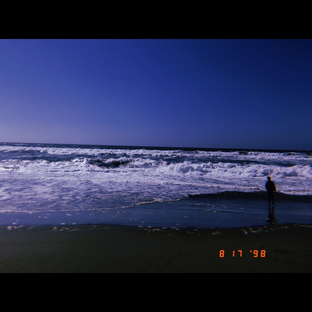 Meet your Posher, Gracie